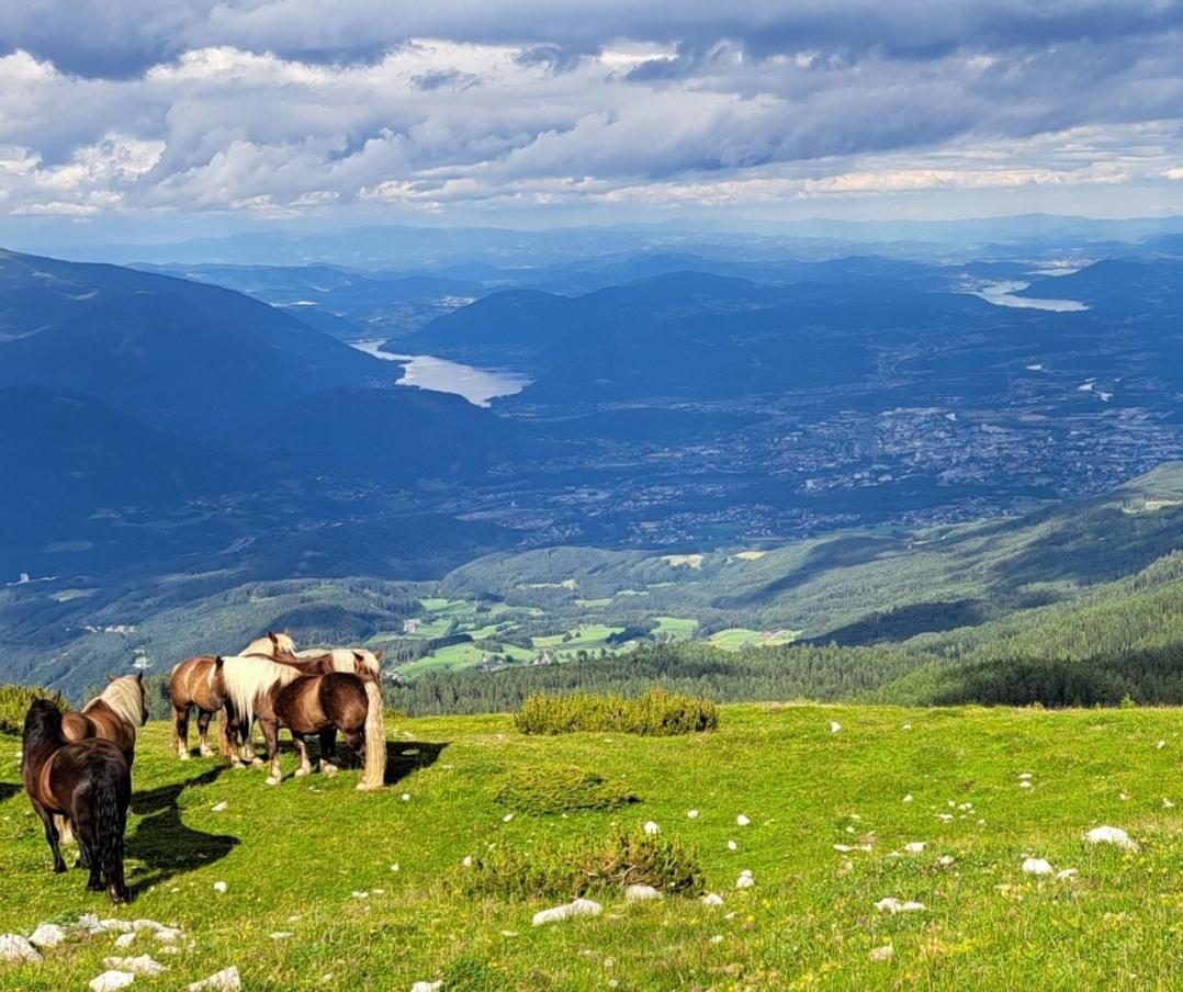 Direkter Seezugang Am Ossiacher See, Radfahren, Wandern & Erlebniscard Филлах Экстерьер фото